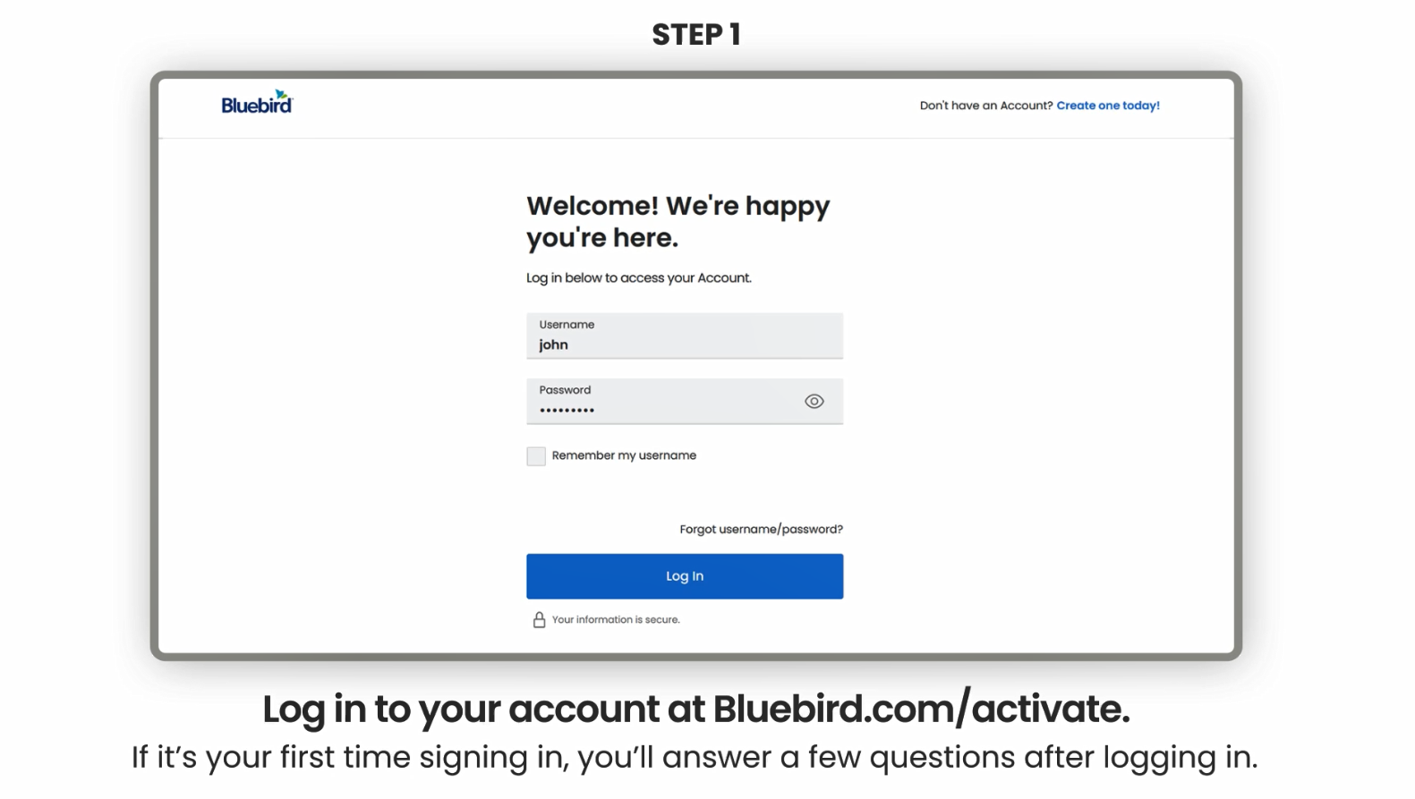 Bluebird Desktop Welcome screen