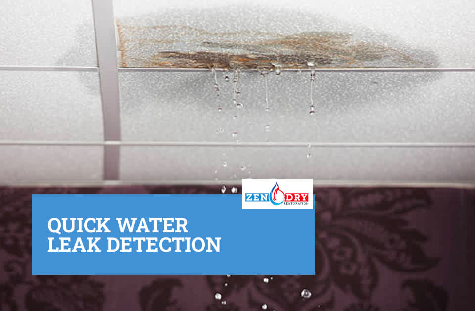 quick-water-leak-detection