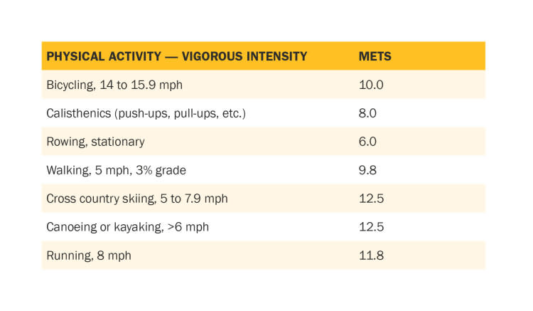 ISSA, International Sports Sciences Association, Certified Personal Trainer, ISSAonline, A Personal Trainer’s Guide to Metabolic Equivalents, Physical Activity – Vigorous Intensity