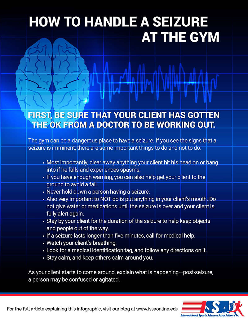 ISSA seizure's infographic image