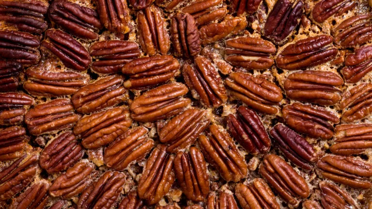 A Holistic Nutritionist’s Sugar-Free Pecan Pie with Gluten-Free Crust - Blog Image