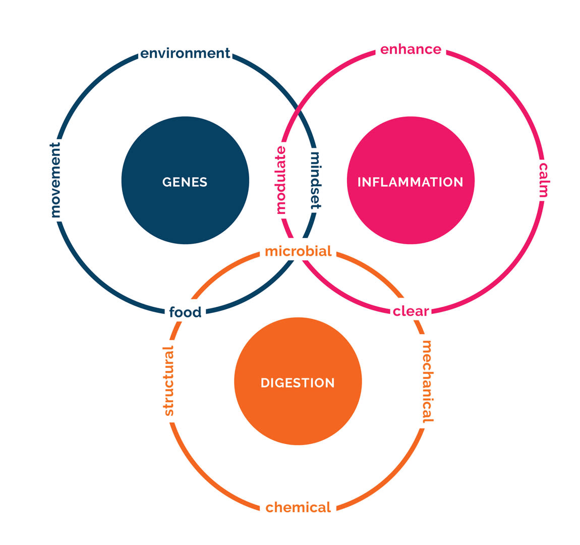 3-Roots-venn-diagram-squarish