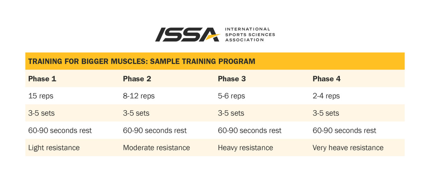 Beginner workout mistakes embedded table