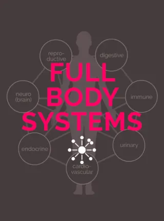 full-body-systems-320x430-1