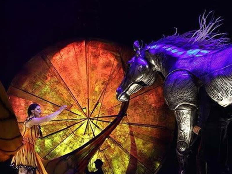 ISSA, International Sports Sciences Association, Certified Personal Trainer, ISSAonline, Shelli Epstien, Journey from Cirque du Soleil to Personal Trainer
