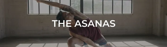 curriculum-the-asanas@2x