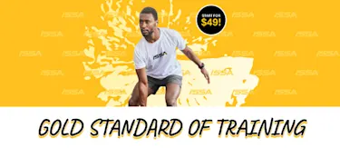 Soldier posing with a salute