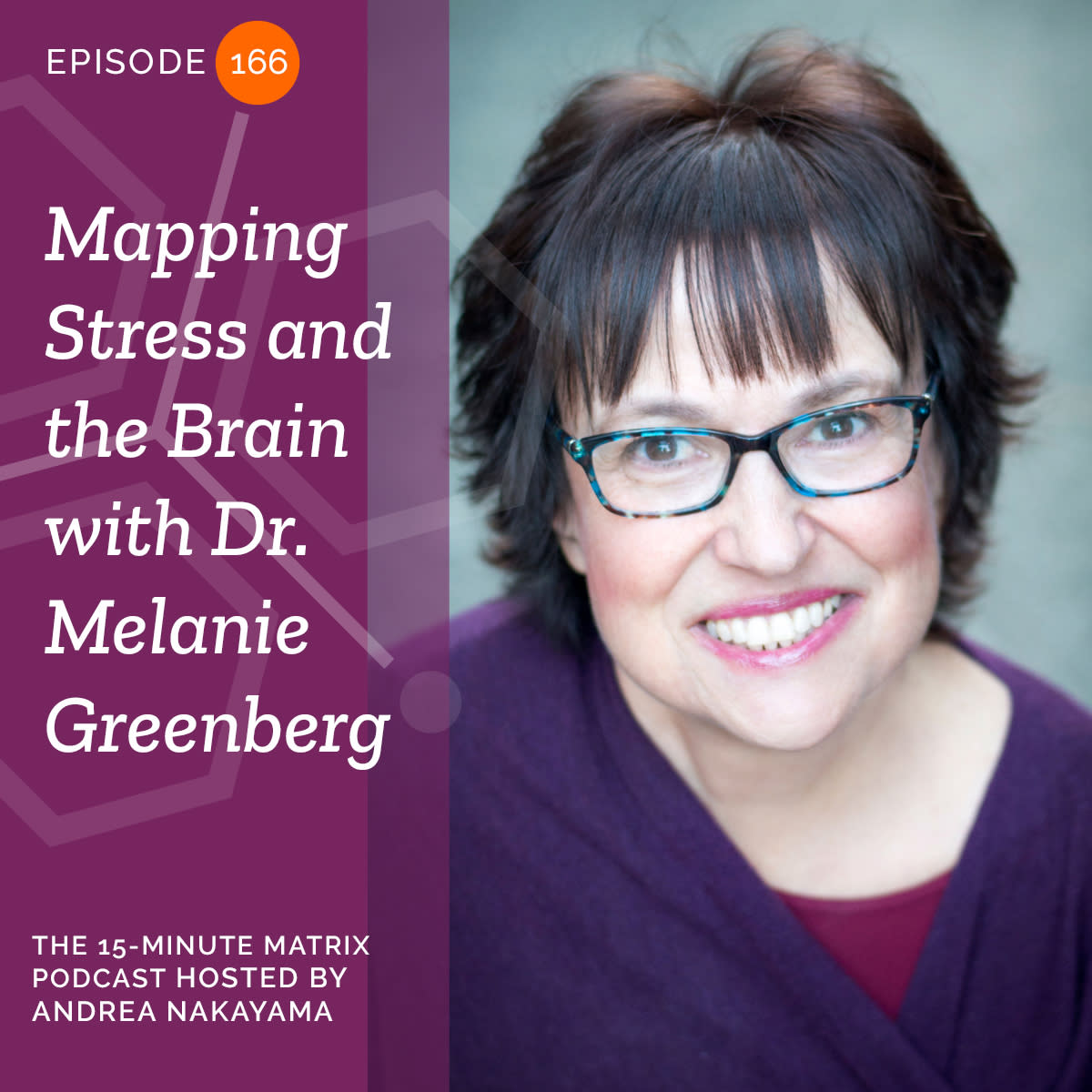 Mapping Stress and the Brain with Dr. Melanie Greenberg #166 - Podcast Image