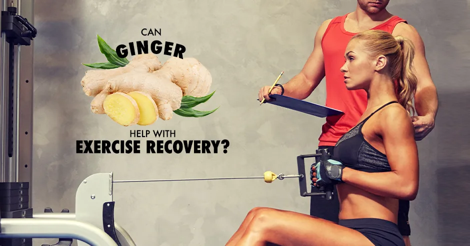 ISSA, International Sports Sciences Association, Certified Personal Trainer, ISSAonline, Nutrition, Can Ginger Help with Exercise Recovery?