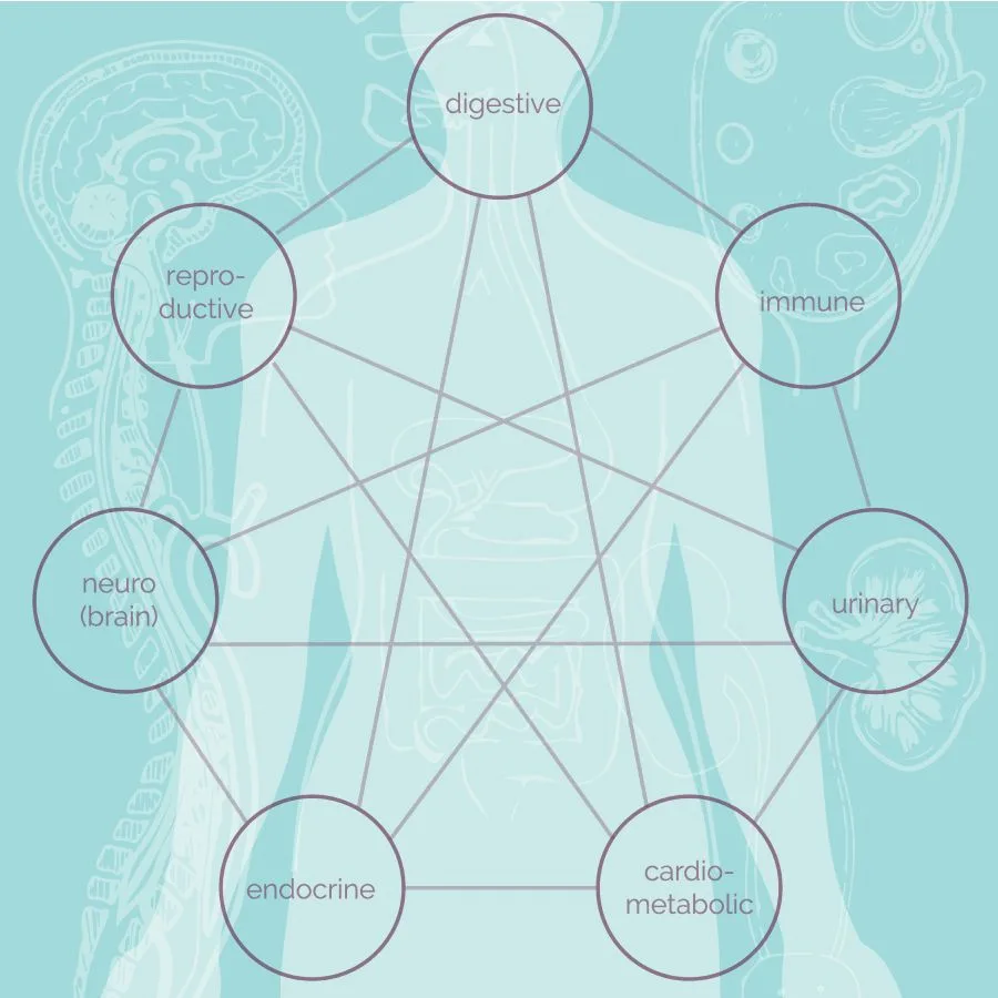 fxa-A systems based approach to nutrition, a heart based approach to patient care-image