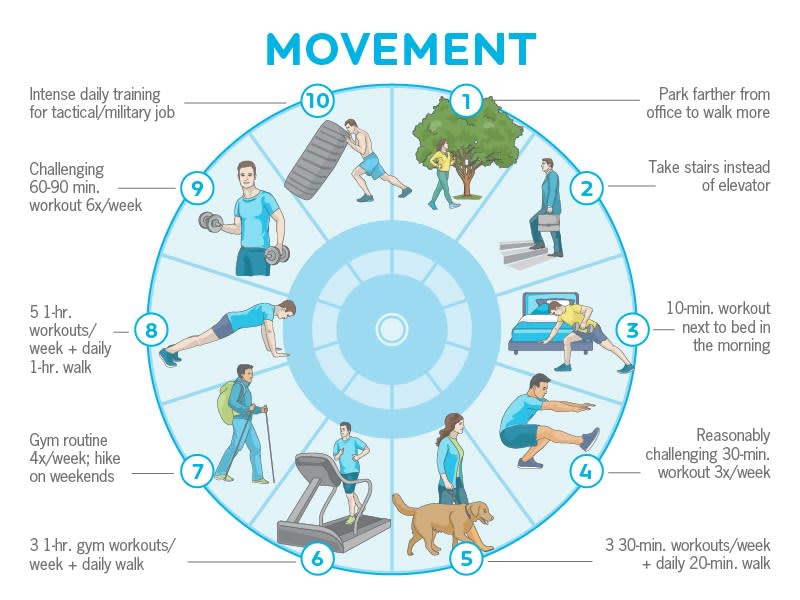 ISSA, International Sports Sciences Association, Certified Personal Trainer, ISSAonline, Nutrition. What It Really Takes To Lose Fat,movement-routine-progressions