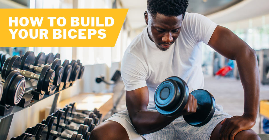 Your Best Guide to Building Biceps