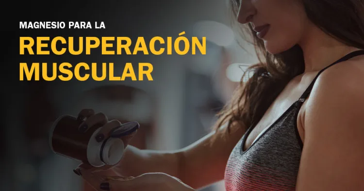 Magnesio para la Recuperación Muscular: Cómo Funciona y Cómo Utilizarlo