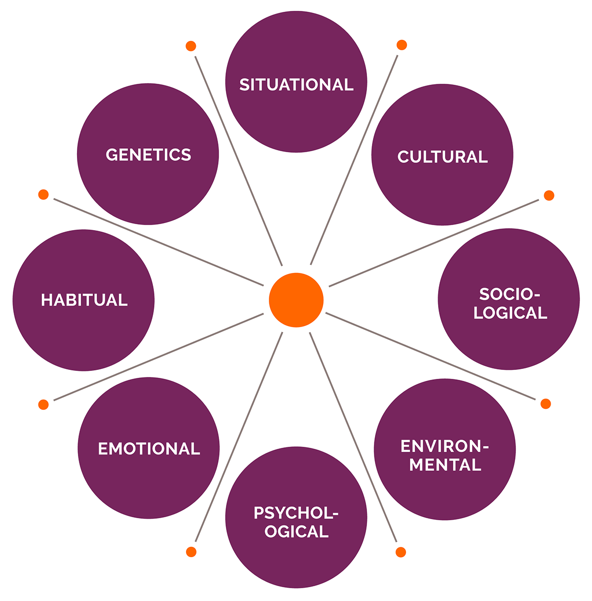 Empathy Matrix | Functional Nutrition Lab