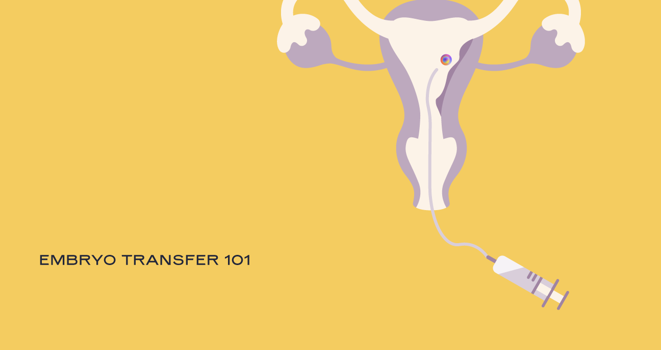 Embryo Transfer 101: Your Guide to Embryo Transfer During IVF