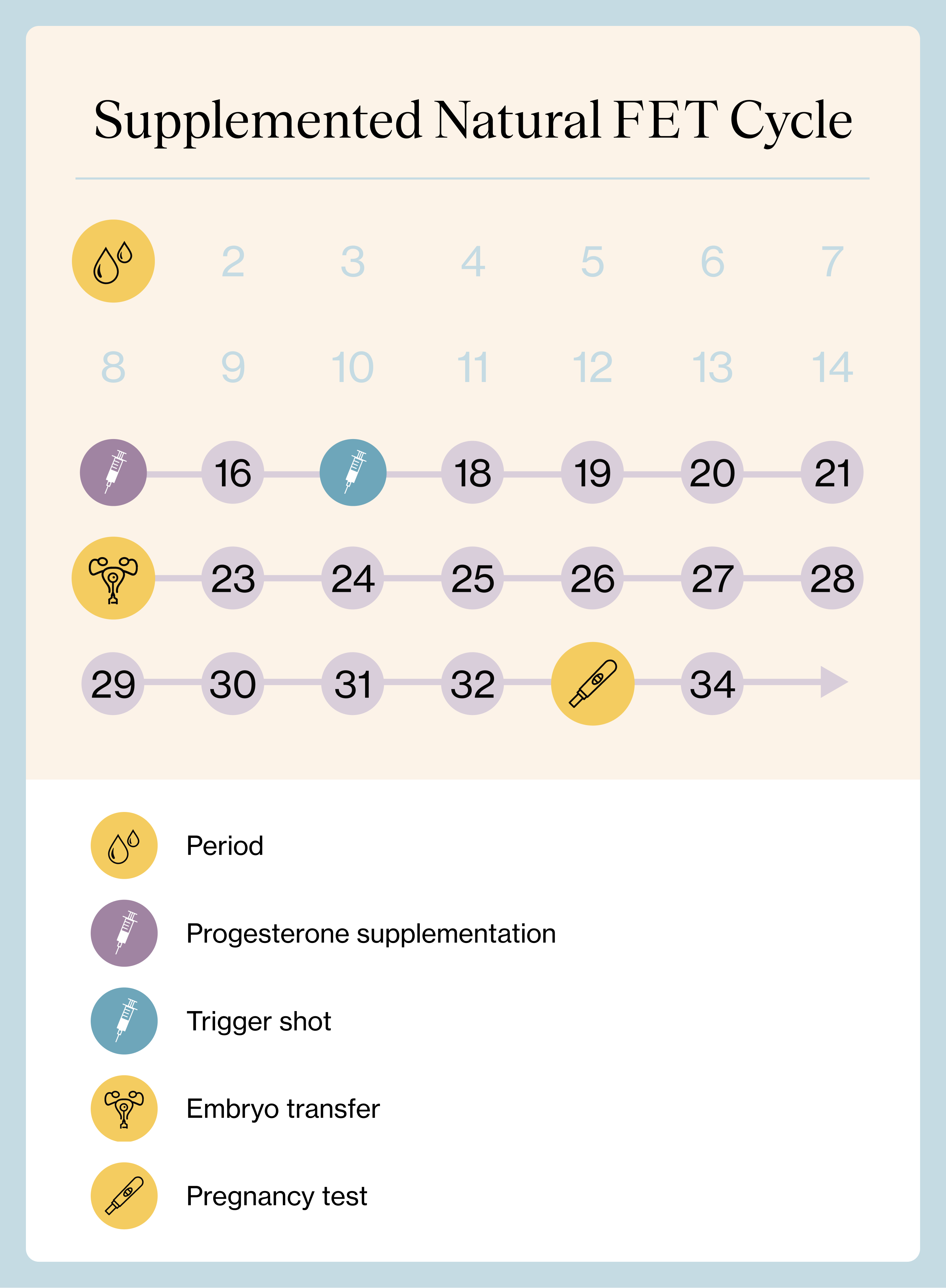 How many Days after Egg Retrieval is Frozen Embryo Transfer?