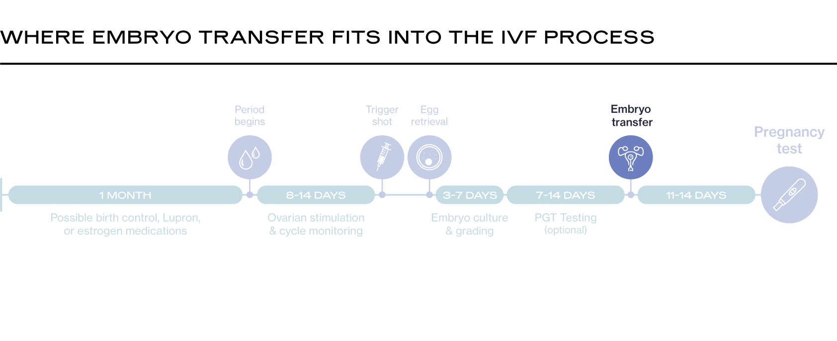 Where Embryo Transfer Fits Into the IVF Process