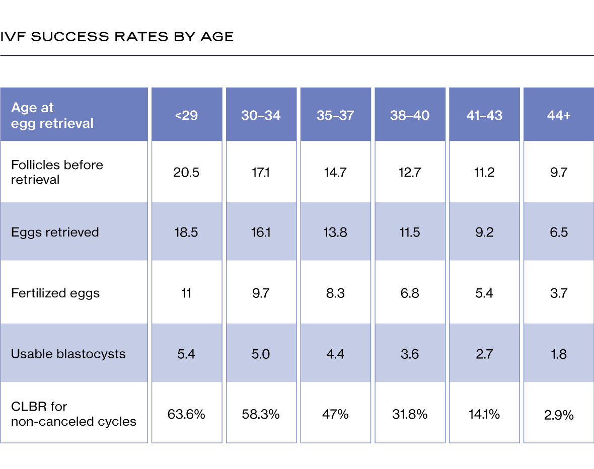 IVF Success Rates by Age