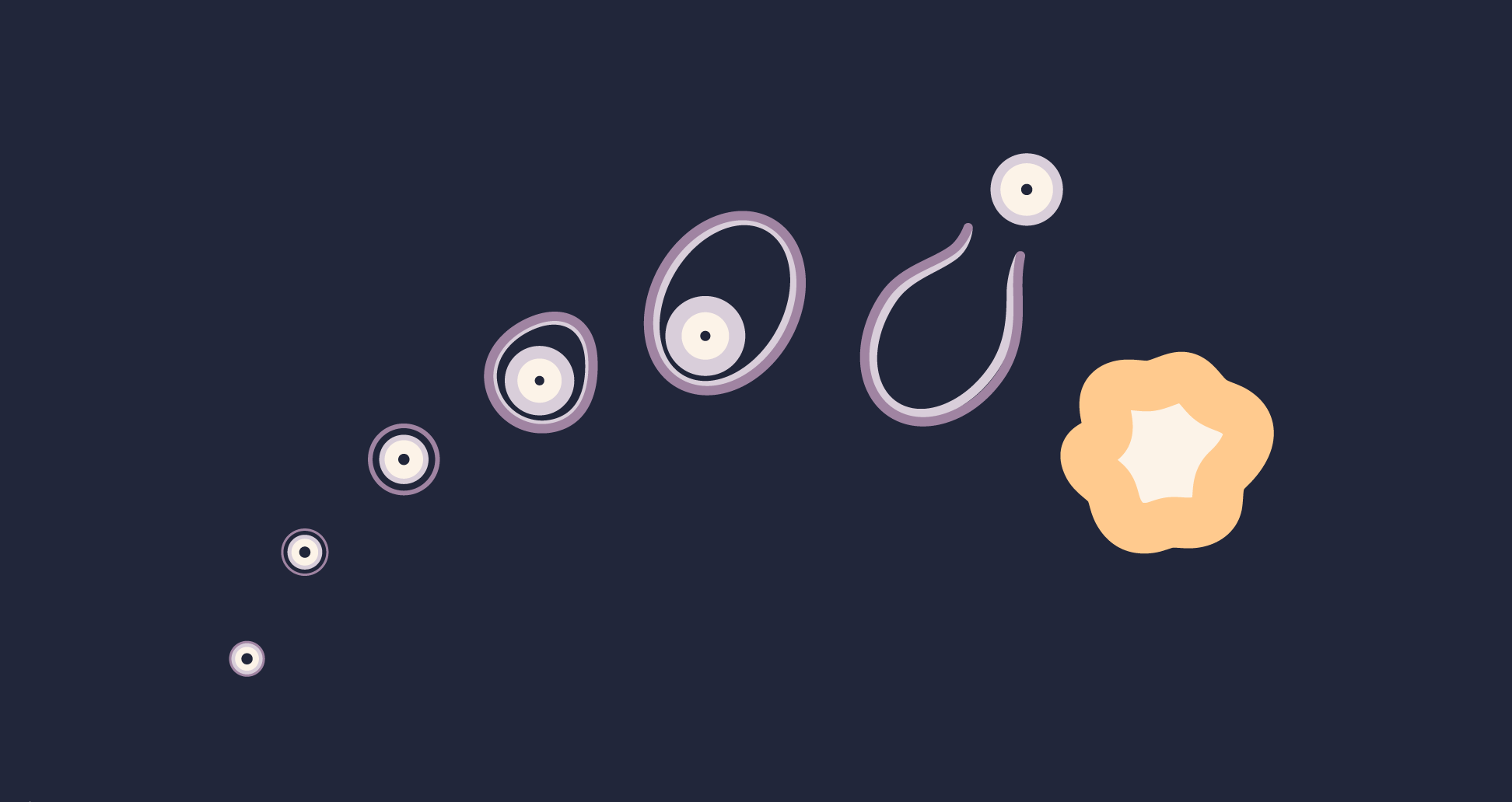 IVF Follicle Sizes and Growth Chart