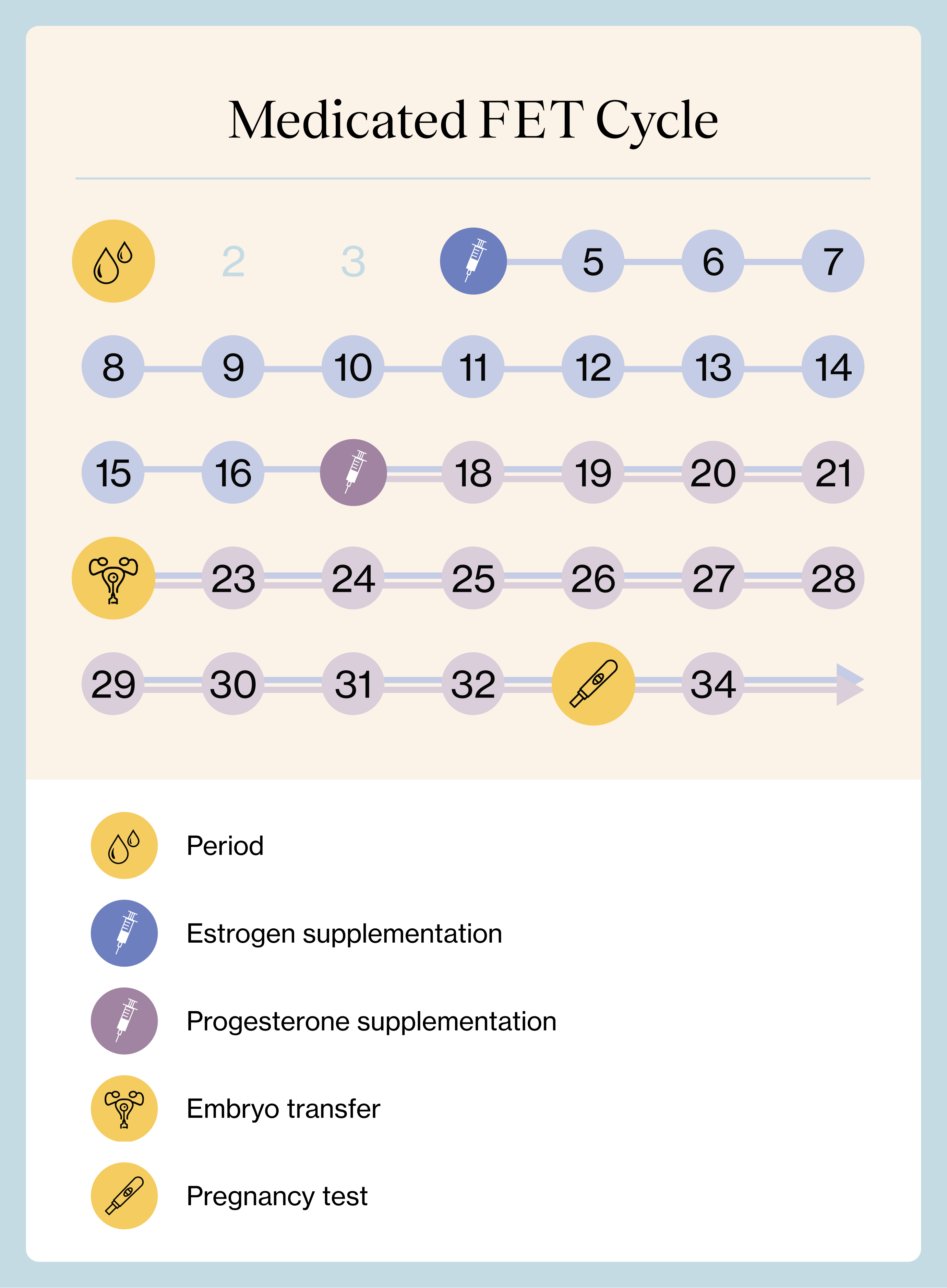 Medicated Frozen Embryo Transfer Cycle