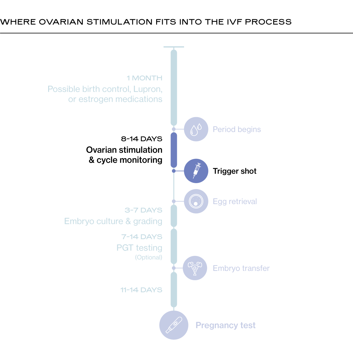 IVF Timeline - Ovarian Stimluation