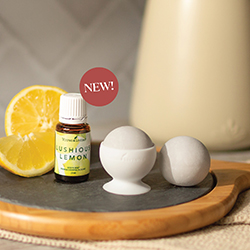 Fridge Fresheners Bundle