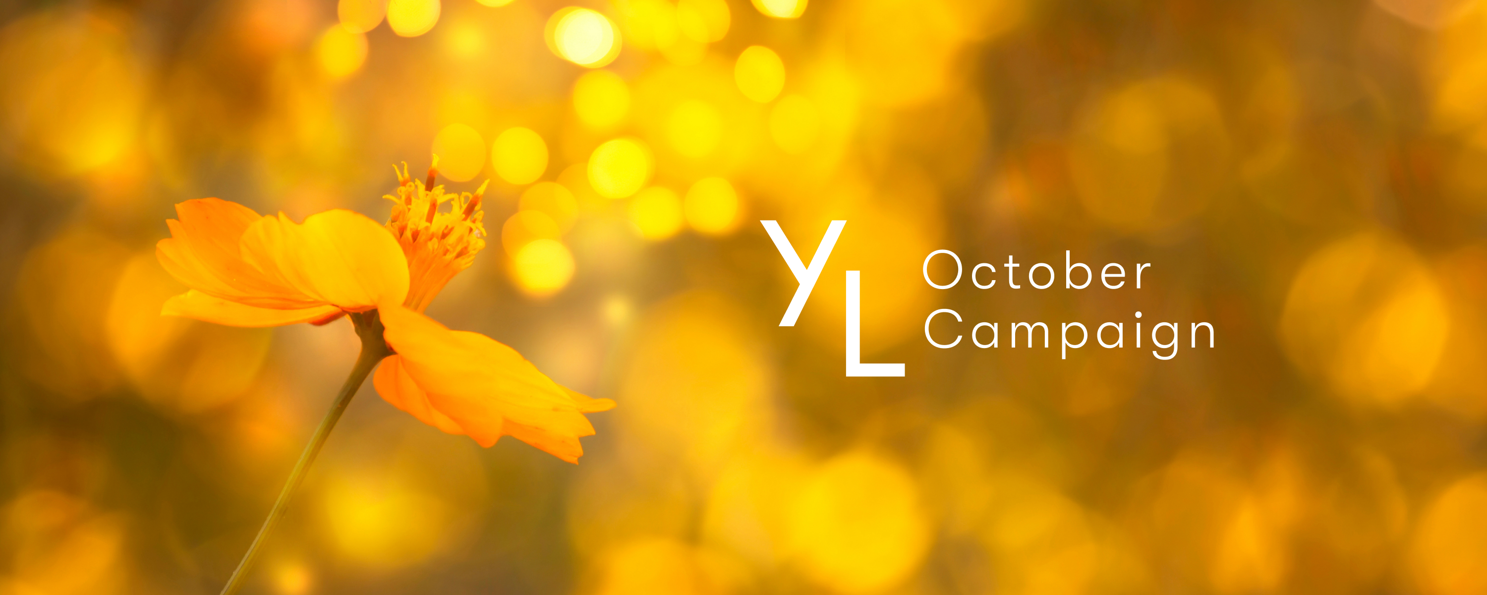 10月1日(金)~10月25日(月)YLおトク便限定キャンペーン|優しい香りで満たしてくれるアイテム