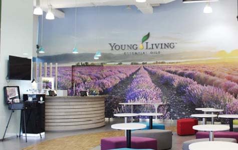 International Contact Information Young Living Essential Oils