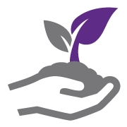 Seed To Seal ヤング リビング精油 Young Living Essential Oils