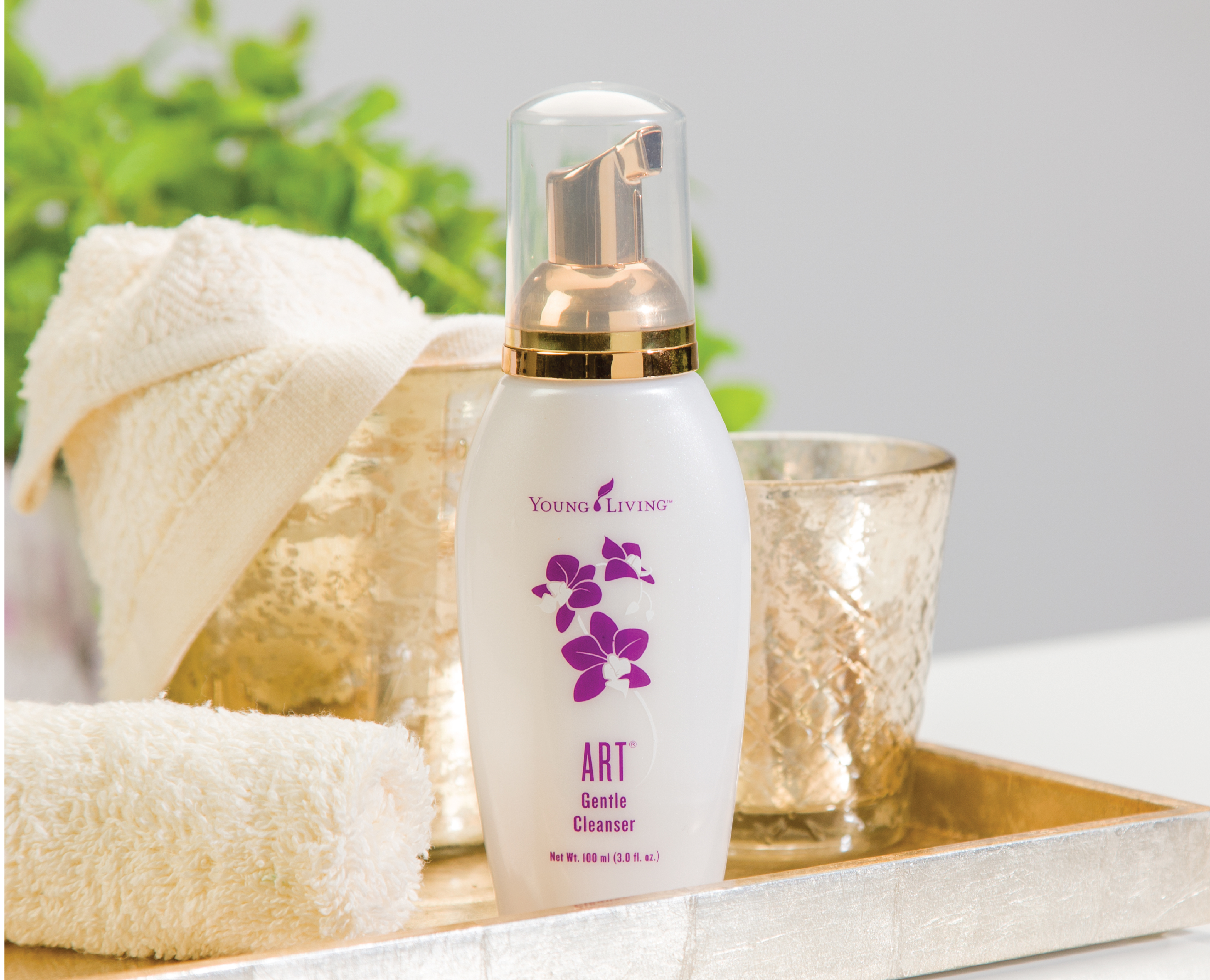 ART® Gentle Cleanser