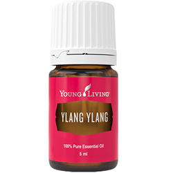 Ylang Ylang