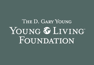 YL Foundation