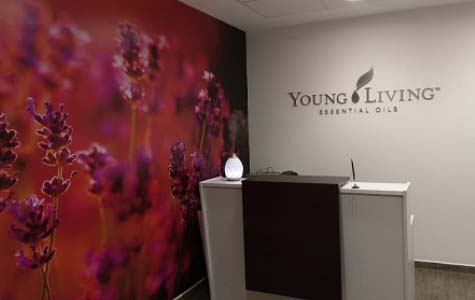 International Contact Information Young Living Essential Oils