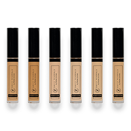 savvy minerals liquid foundation
