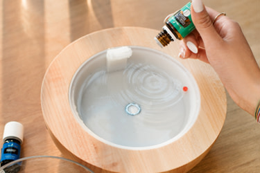 Where to put your essential oil diffuser – Essentially