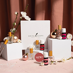 Summer Blossom Bundle