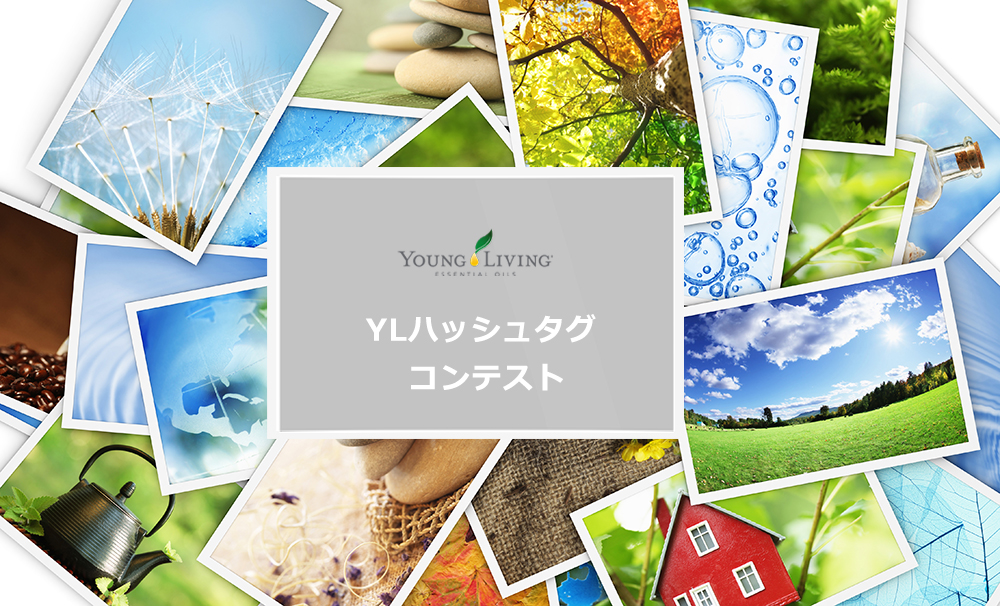 ヤング リヴィング精油 Young Living Essential Oils