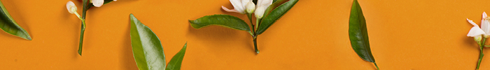 8 Neroli self-care tips you’ve got to try