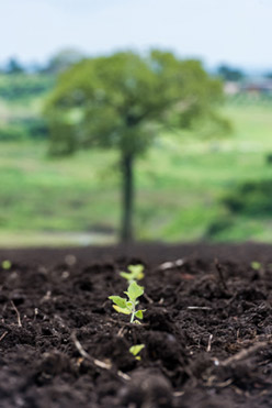 Dezvoltarea de Produse Inovatoare Dezvoltarea de Produse Inovatoare