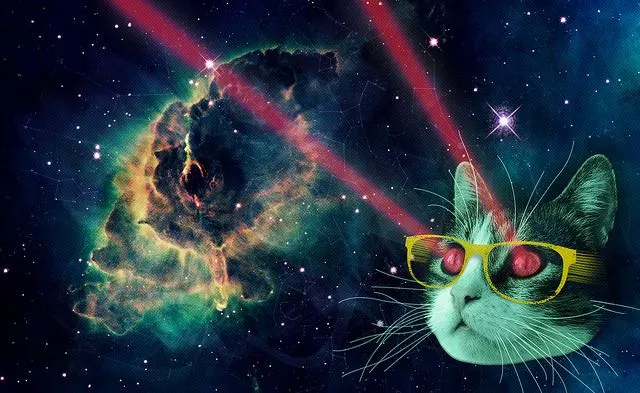 Cat firing lasers out of eyes into the black void of outer space