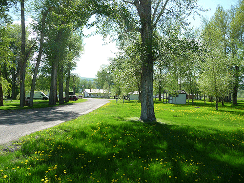 Picture of Bernie and Sharon’s Riverfront RV Park