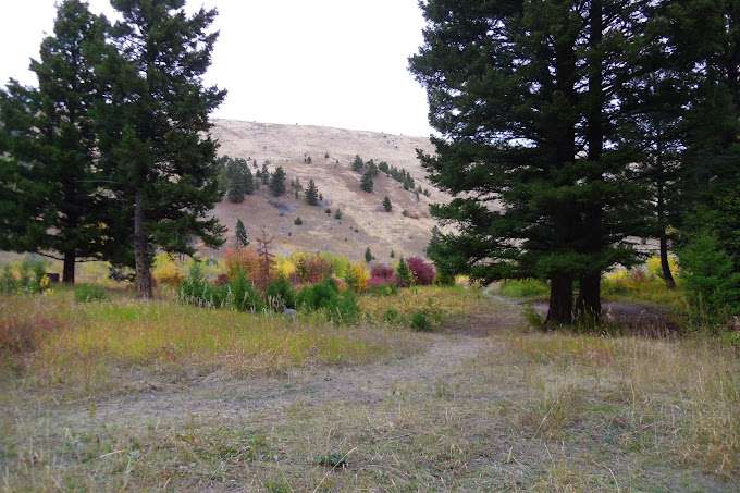 Picture of Racetrack National Forest Campground