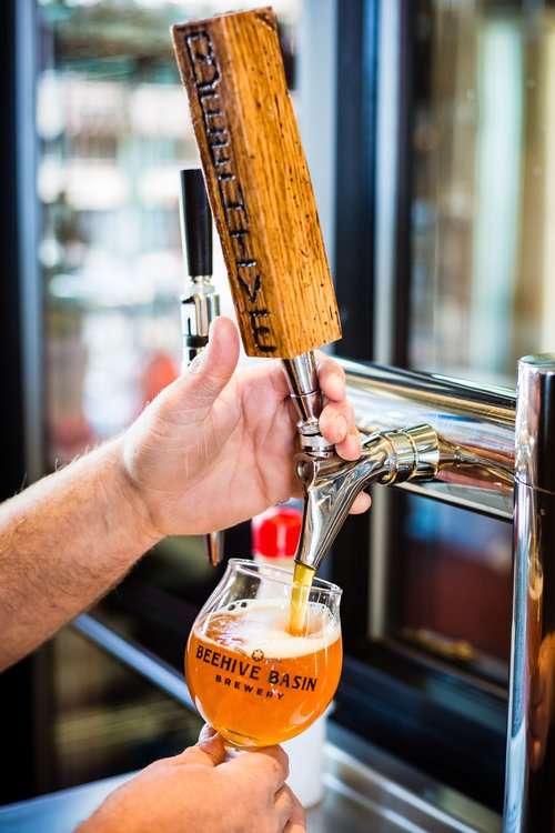 A bartender pulling a draft beer at Beehive Basin Brewery