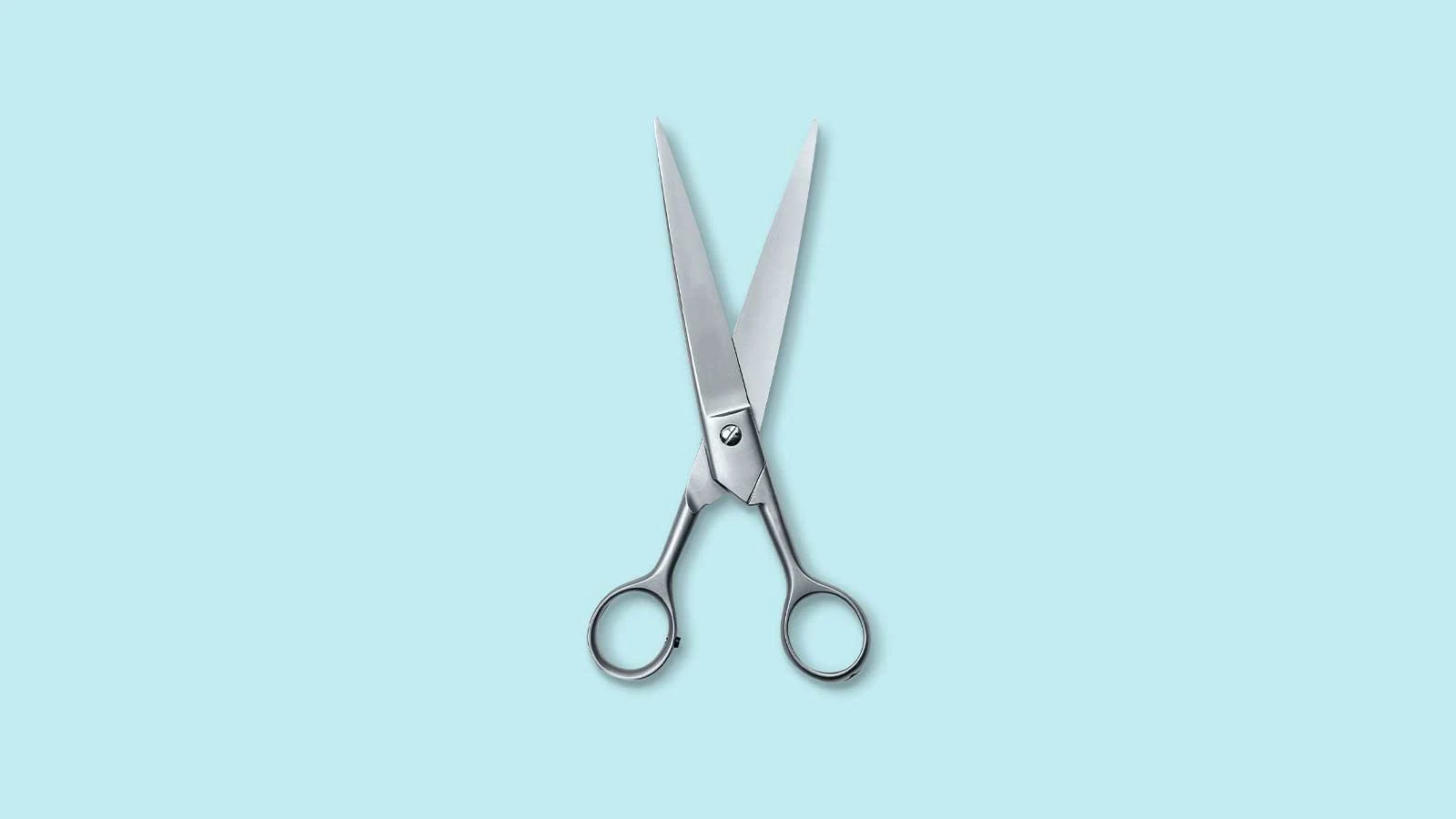 Scissors.