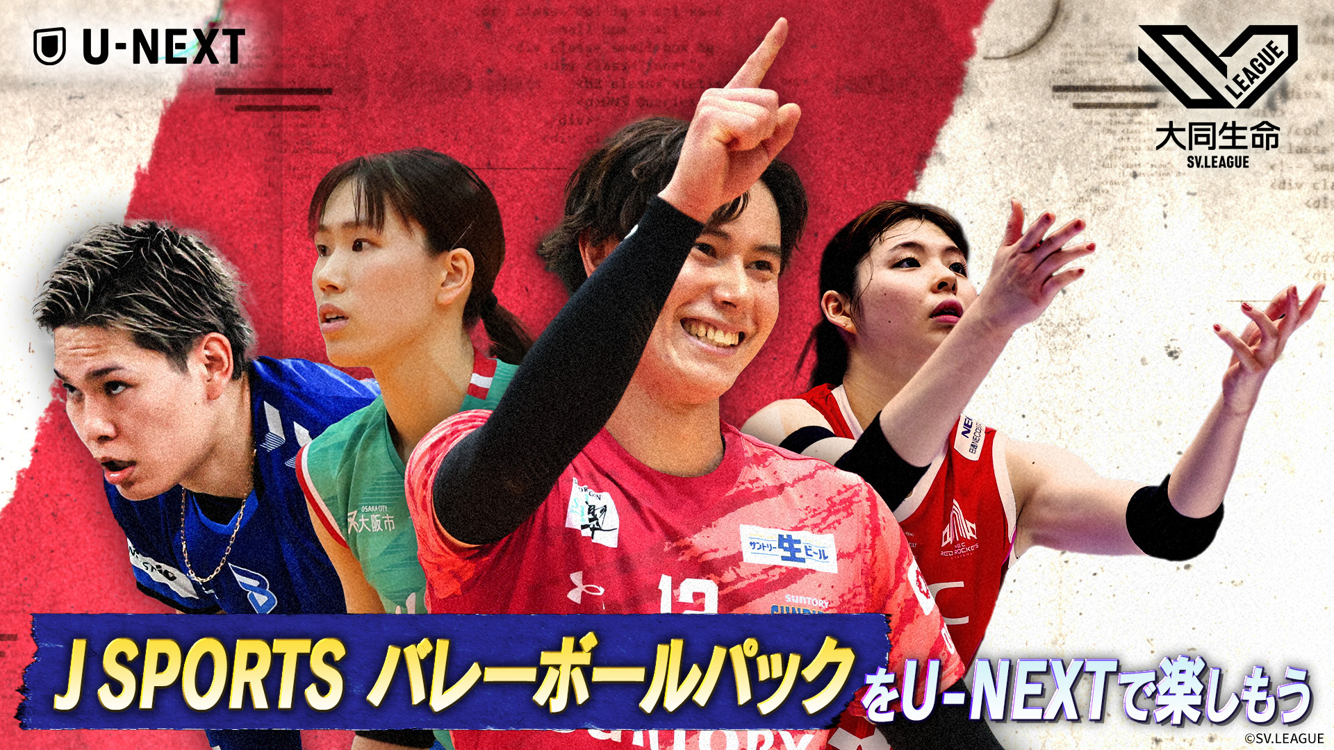 2025世界バレー】観るならU-NEXT！