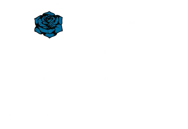 Ado 3週連続ライブ配信