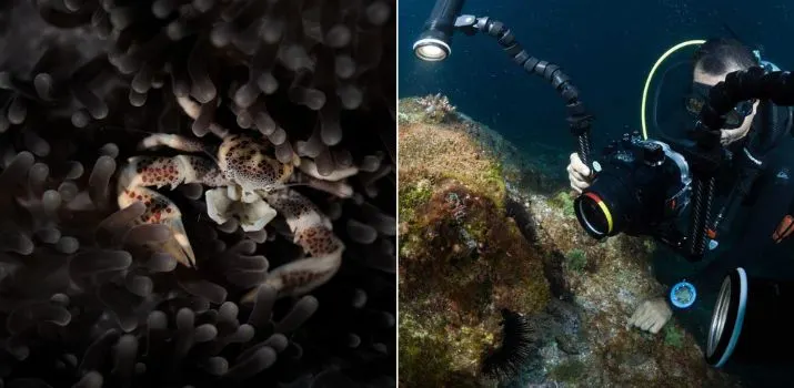 Burim underwater taking a macro photo next to one of his macro photos