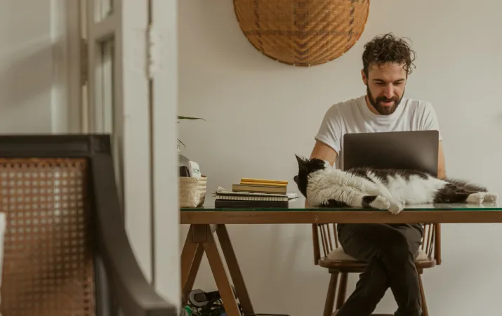 Person using a laptop at home with a cat stretched out on the desk.
