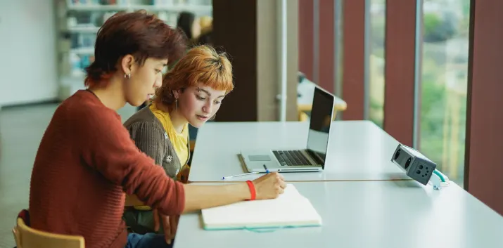 Two students helping each other study