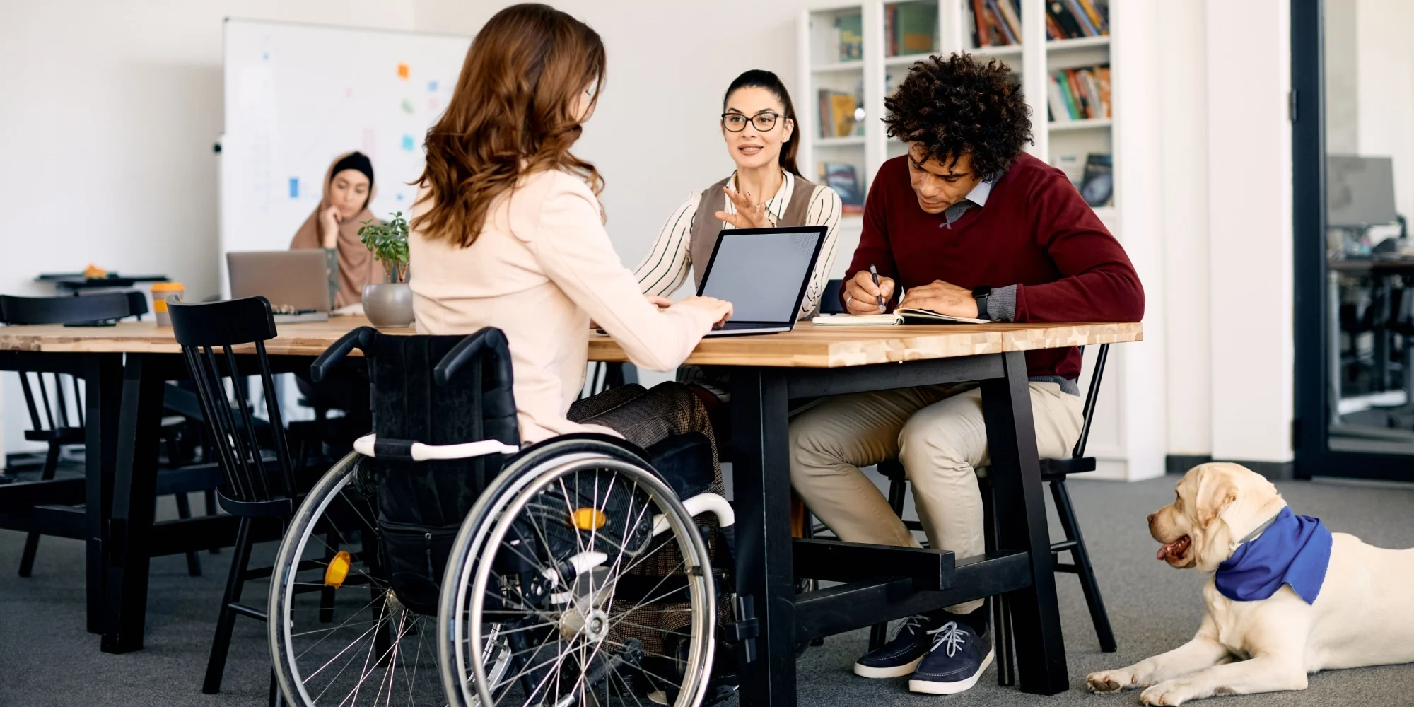 Community services professionals, customers, and an assistant dog collaborating in a community centre.